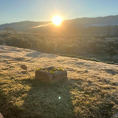 Quinta Dos Cedros L Turismo Rural Covilha Bagian luar foto
