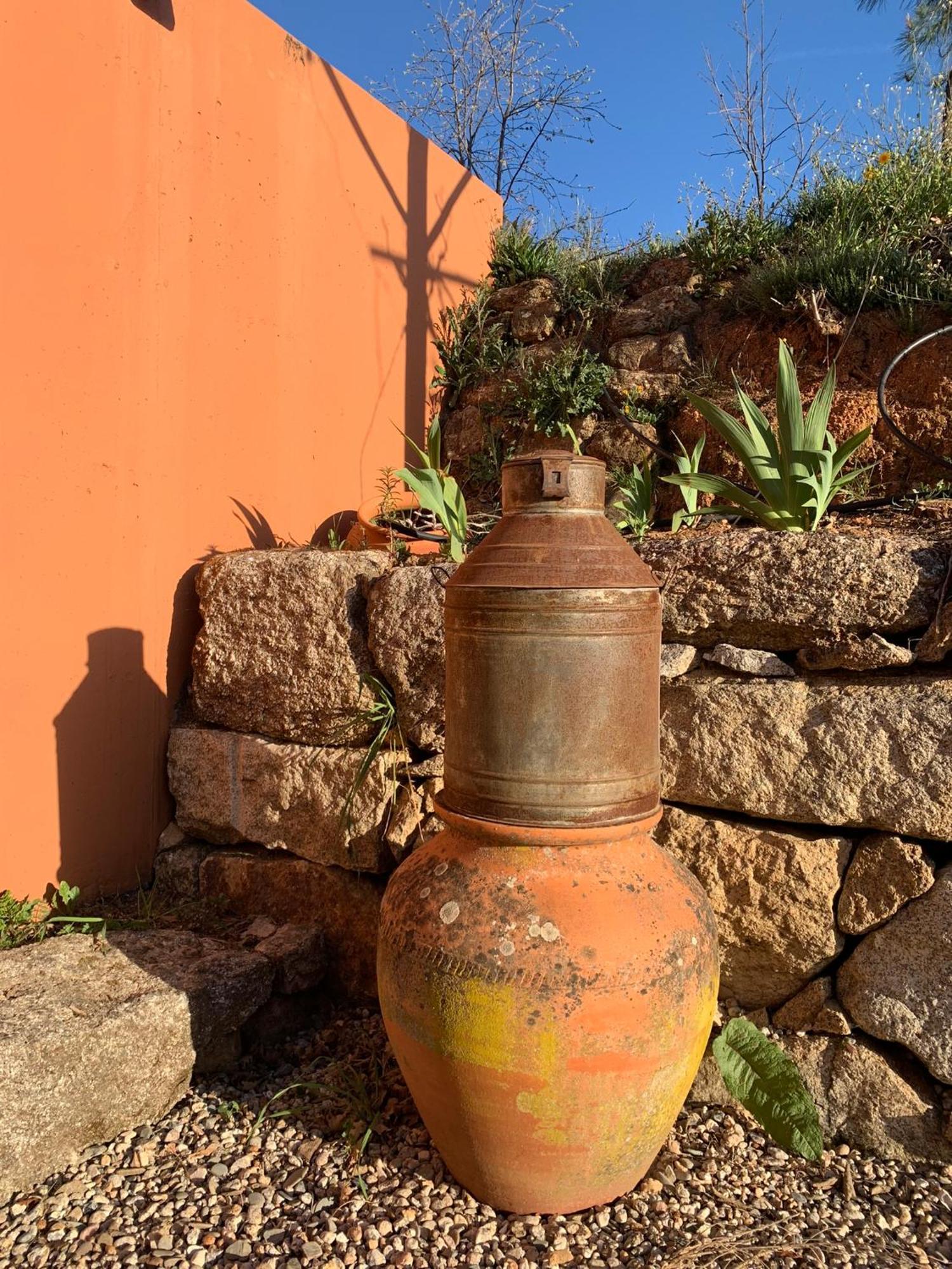 Quinta Dos Cedros L Turismo Rural Covilha Bagian luar foto