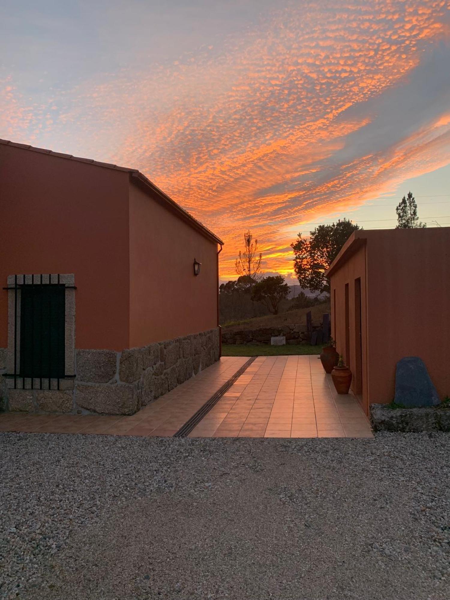 Quinta Dos Cedros L Turismo Rural Covilha Bagian luar foto
