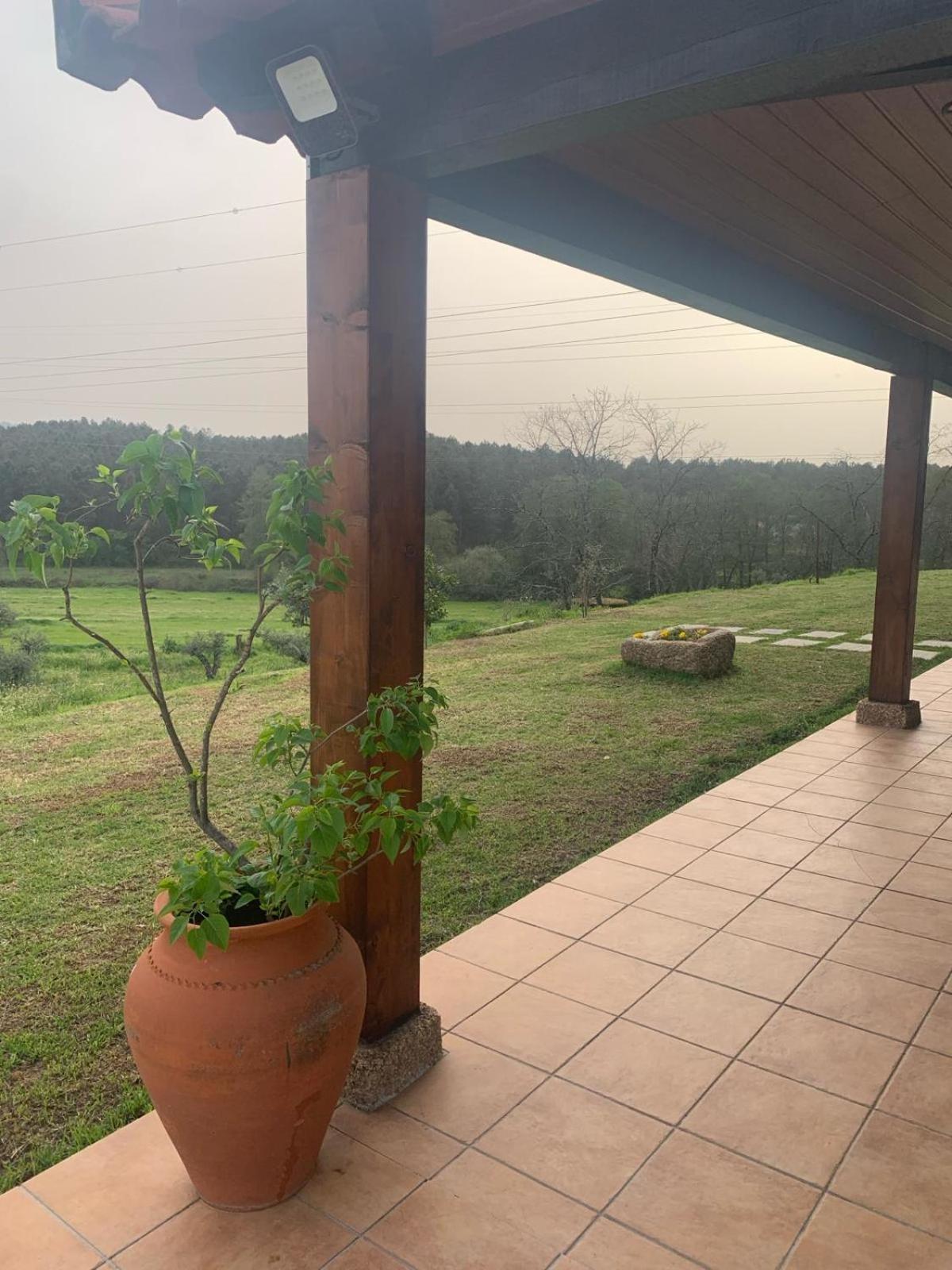 Quinta Dos Cedros L Turismo Rural Covilha Bagian luar foto
