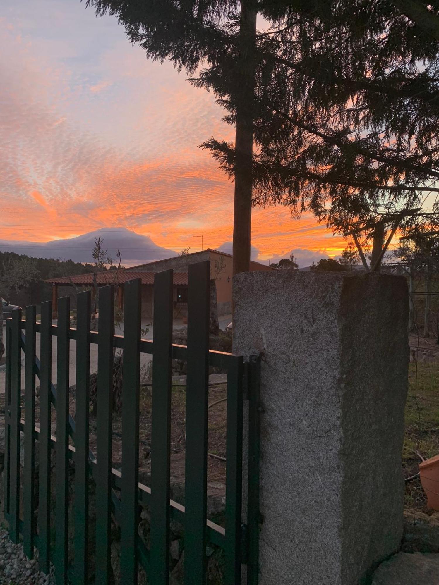 Quinta Dos Cedros L Turismo Rural Covilha Bagian luar foto